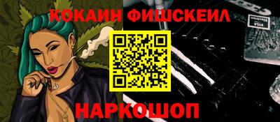 крисы Можга