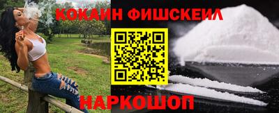 крисы Можга