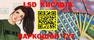 крисы Можга