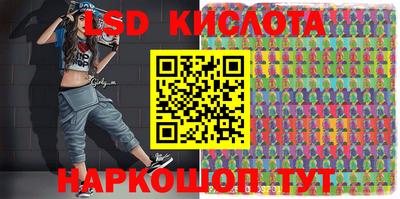 крисы Можга