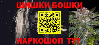 крисы Можга