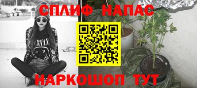 крисы Можга