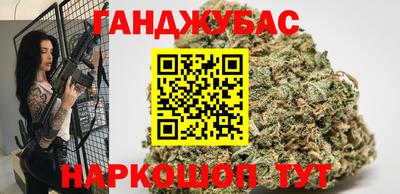 крисы Можга