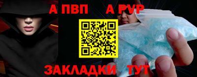 крисы Можга