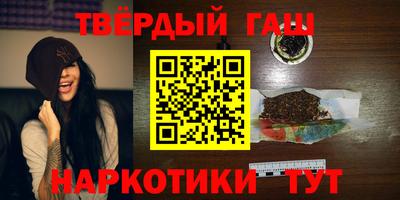 крисы Можга