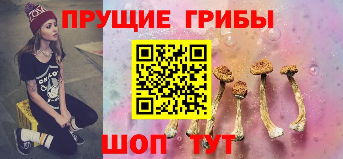Псилоцибиновые грибы Psilocybe Тейково