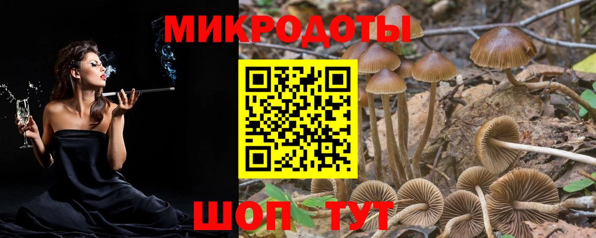 Тейково  Псилоцибиновые грибы мицелий  Вход с VPN  Галлюциногенные грибы Psilocybe 